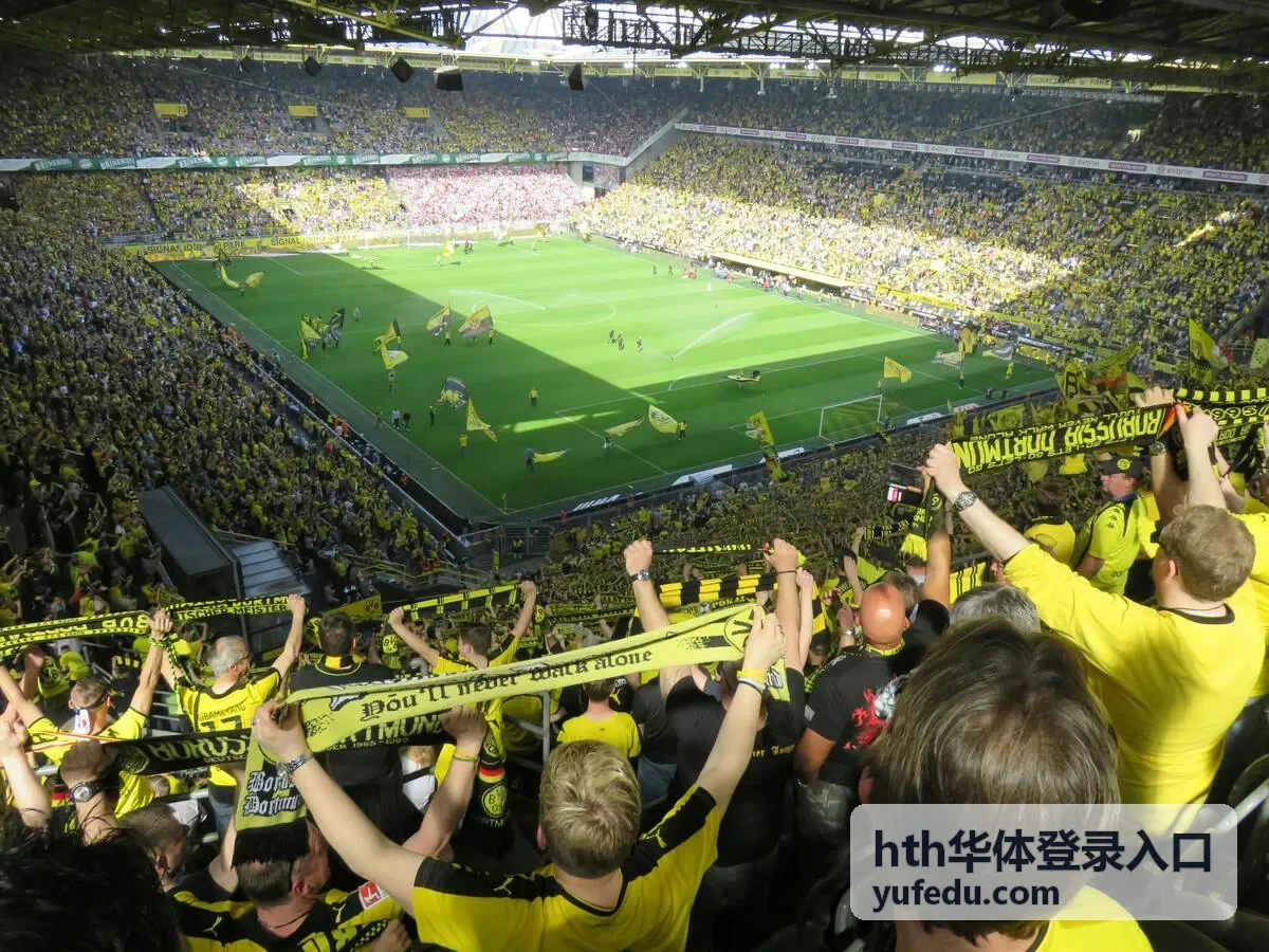 hth华体登录入口直播预告与赛事看点