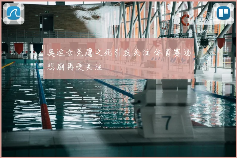 奥运会秃鹰之死引发关注 体育赛场悲剧再受关注