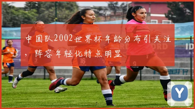 中国队2002世界杯年龄分布引关注，阵容年轻化特点明显