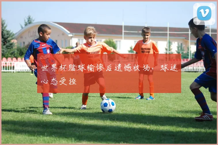 世界杯赌球输惨后遗憾收场，球迷心态受挫