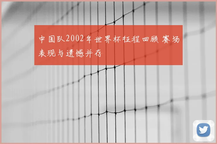 中国队2002年世界杯征程回顾 赛场表现与遗憾并存
