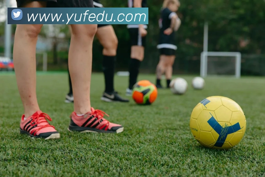 多媒体互动体验